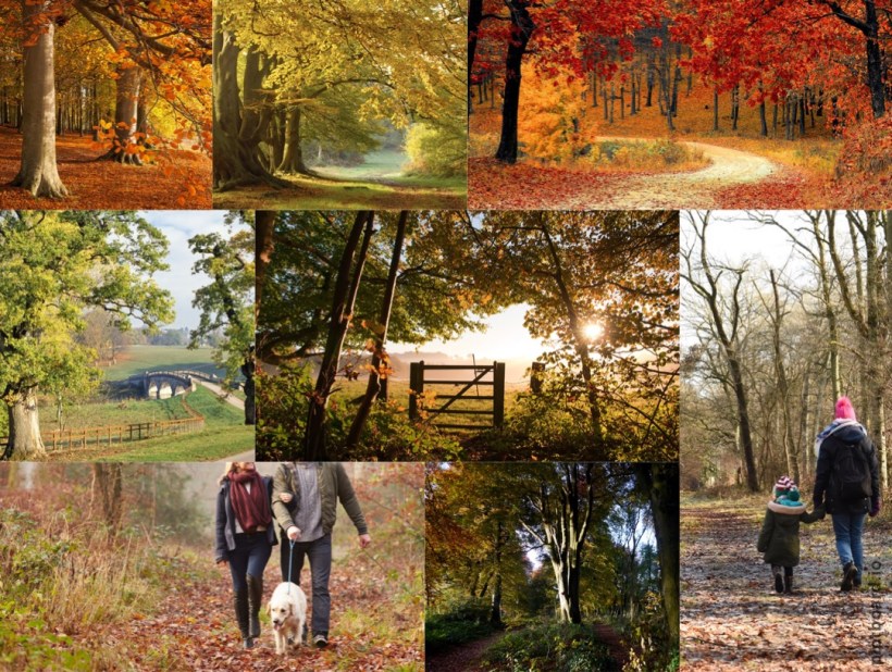 1703057C-0DAD-4D19-90EF-C9683B38AA4F