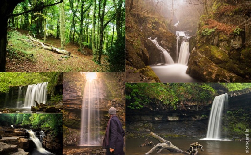 1EA33C71-688D-403C-9529-F5E2A52C9553