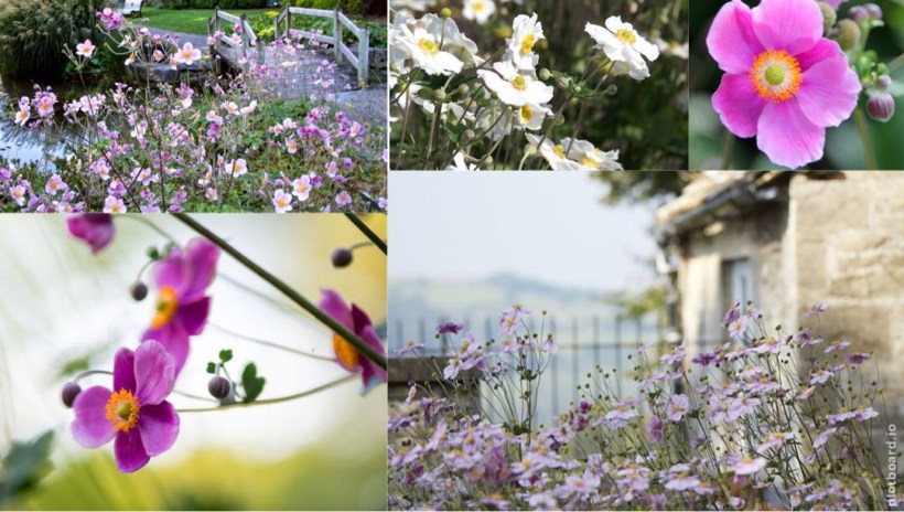 534B5434-64FA-4F7D-8628-331173C758BB