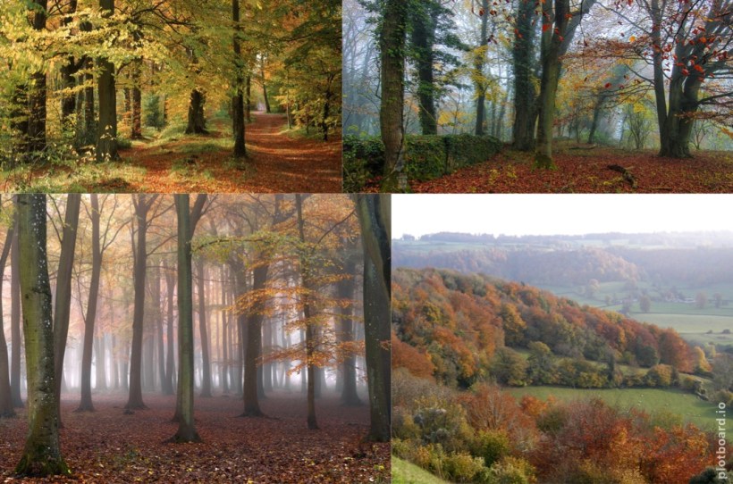 D46962F7-8588-4DC6-91A3-92C9F10A0142